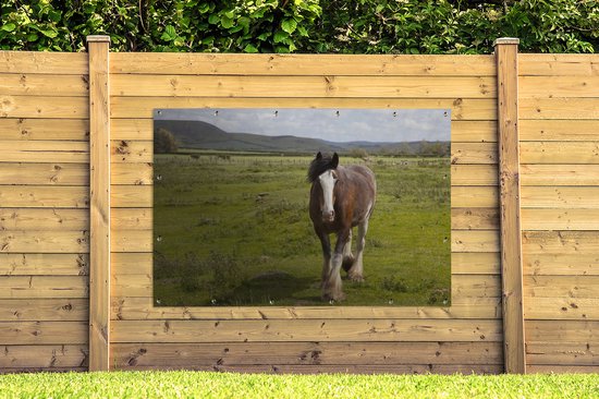 Cheval Clydesdale dans le jardin de pâturage affiche toile lâche