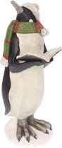 Pinguin met boek groene sjaal 10x11x25cm | Meander