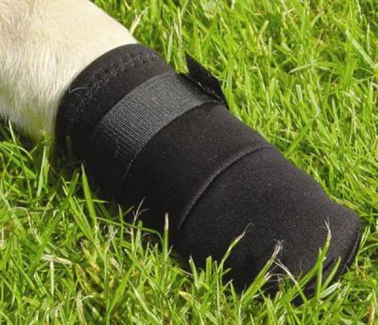 Beeztees Beschermingsschoen - Hond - Zwart - XL - 2ST