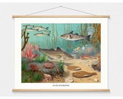 Schoolplaat 'In de Noordzee' van M.A. Koekkoek