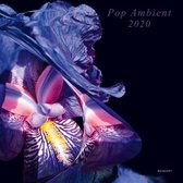 Pop Ambient 2020 (2Lp + Dl + Artbook)