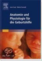 Anatomie und Physiologie für die Geburtshilfe