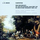 Weltliche Kantaten BWV204