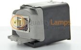 ViewSonic RLC-050 / ViewSonic RLC-073, ViewSonic RLC-050 Projector Lamp (bevat originele UHP lamp)