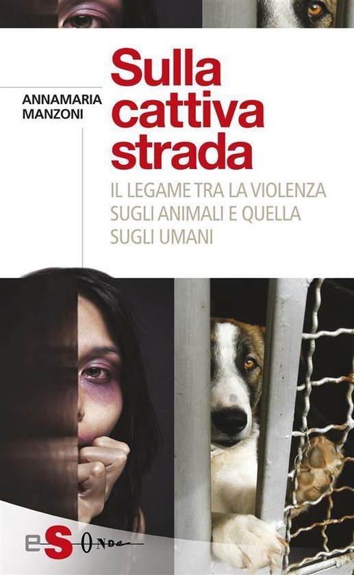 Sulla cattiva strada - cover