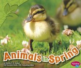Animals in Spring (All About Spring)