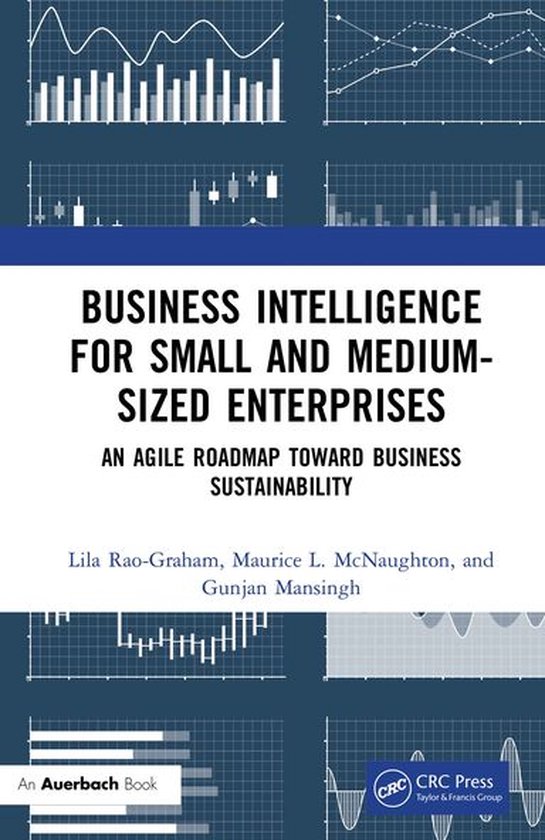 Business Intelligence for Small and Medium-Sized Enterprises - cover