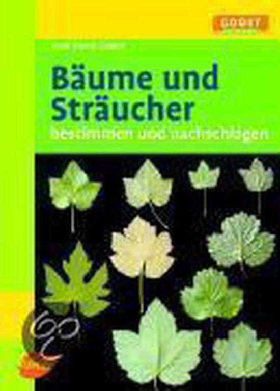 Bäume und Sträucher