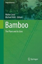 Tropical Forestry - Bamboo