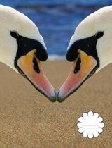 Swan Love