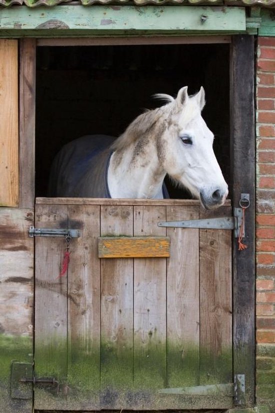 Commissie Vermeend Voorzichtig Tuinposter - Paard op stal | bol.com