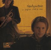 Terje Nordgarden - A Brighter Kind Of Blue (CD)