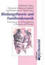 Bindungstheorie und Familiendynamik