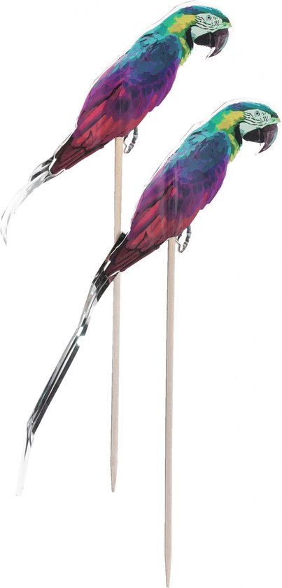 Party Stars Cocktail Picks Perroquet 15 Cm Bois / Papier 10 Pièces