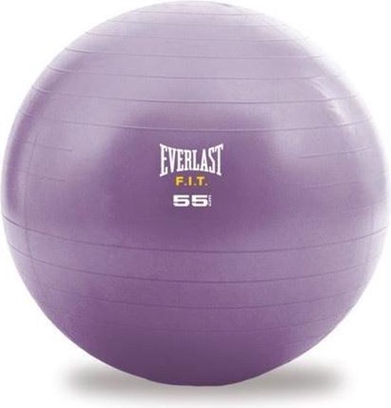 Everlast Stability Ball 55cm