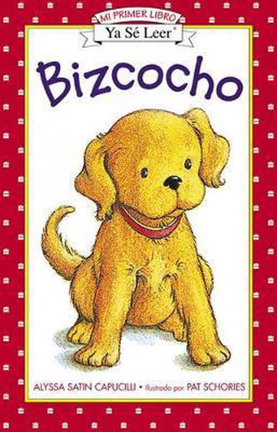 Bizcocho / Biscuit