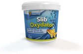 Superfish Sludge Oxydator - Améliorants pour l'eau - 2,5 l