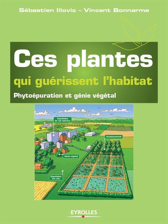 Ces plantes qui guérissent l'habitat - cover