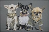 Mars & More - Binnenmat - Deurmat - 3 Chihuahuas - 50x75cm