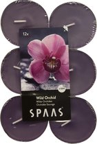 Theelicht maxi wilde orchidee - 10 uren - set van 12 stuks