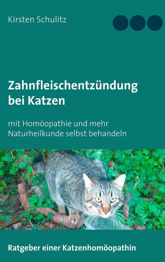 Zahnfleischentzündung bei Katzen - cover