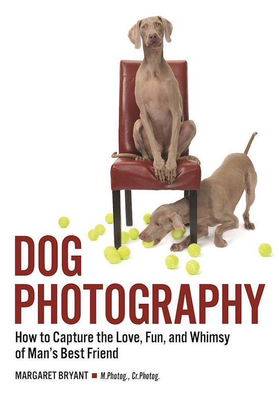 Dog Photography - cover