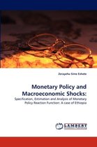 Monetary Policy and Macroeconomic Shocks