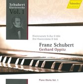 Gerhard Oppitz - Piano Works Volume 1 (CD)