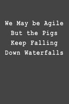 We May be Agile But the Pigs Keep Falling Down Waterfalls