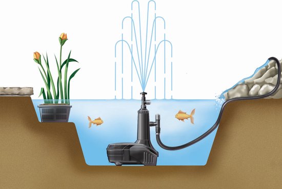 Dwarsdoorsnede van een vijver met een fonteinpomp, twee goudvissen en waterplanten.