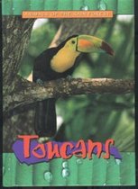 Toucans
