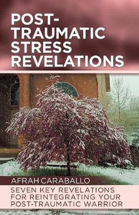 Post-Traumatic Stress Revelations - cover