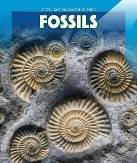 Spotlight on Earth Science Fossils 9781499425130 Cecily Jobes