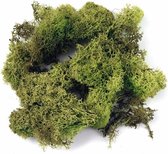Decoratie mos lichtgroen 100 gram - Knutselen/hobby materialen voor o.a. kerststukjes maken