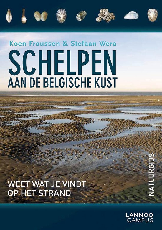 Cover van het boek 'Schelpen aan de Belgische kust'
