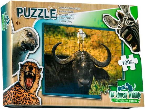 Comedy Wildlife Vogel poept op hoofd Buffel
