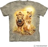 T-shirt Lion Pair S