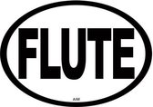 Ovalen magneet, Flute