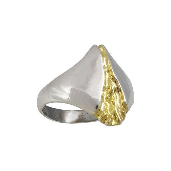 Rivier van goud, Zilveren ring 19mm
