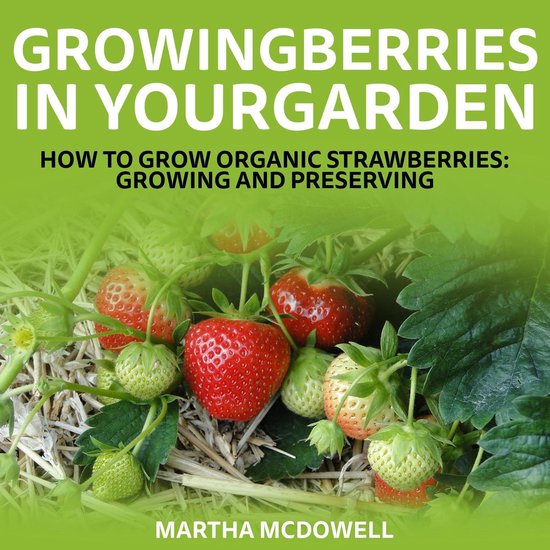 Growing Berries In Your Garden How To Grow Organic Strawberries