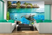 Fotobehangkoning - Behang - Fotobehang - Dolfijnen in Hawaii - Zee - Aquarium - Vissen - Vliesbehang - 152,5 x 104 cm