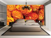 Amber Roses Photo Wallcovering