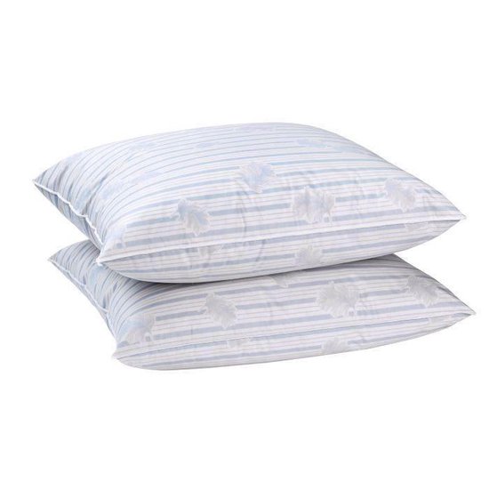 BLANREVE Set van 2 kussens met veren 60x60 cm