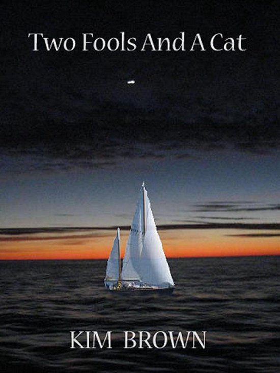 Two Fools And A Cat - cover