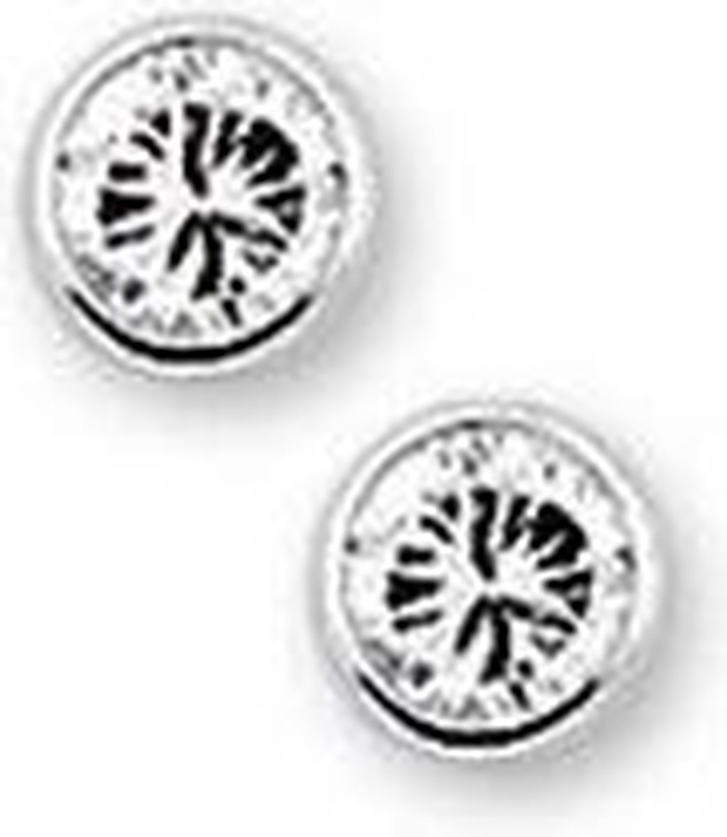 TFT Oorknoppen Zirkonia Zilver Glanzend 3 mm
