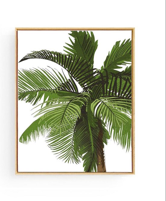 Poster Tropische Palmboom - Tropische Planten / Bomen - Muurdecoratie - 50x40cm - Postercity