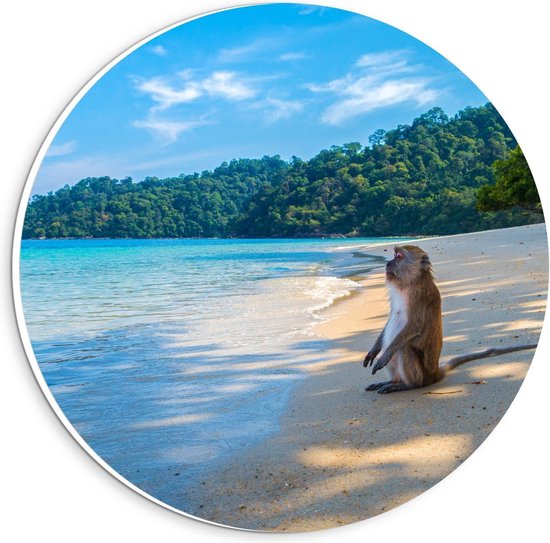 Rond schilderij van een aapje zittend op een zandstrand met azuurblauwe zee en groene jungle op de achtergrond.