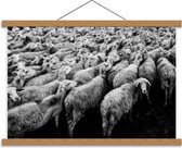 Schoolplaat – Zwart/Wit Kudde Schapen - 60x40cm Foto op Textielposter (Wanddecoratie op Schoolplaat)