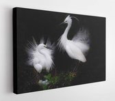 Onlinecanvas - Schilderij - Little Egret Art Horizontal Horizontal - Multicolor - 40 X 50 Cm