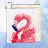 Schilderen op nummer pakket Flamingo 40 x 50 cm   - met frame